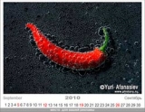 Авторские фотографии для календарей Авторские фотографии для календарей
